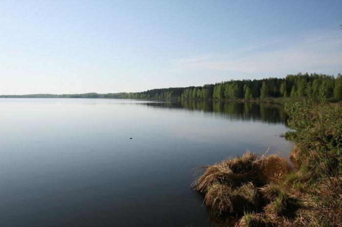 Λευκή λίμνη Ryazan